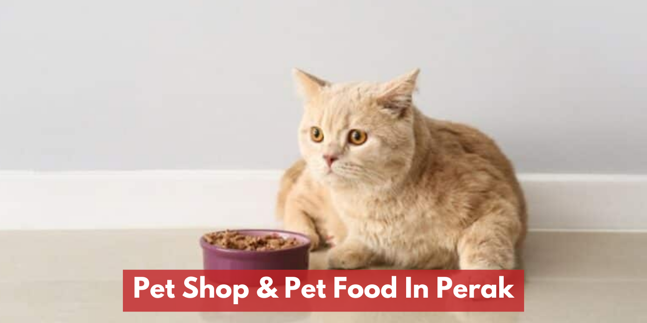 Best Pet Shop & Pet Food In Perak